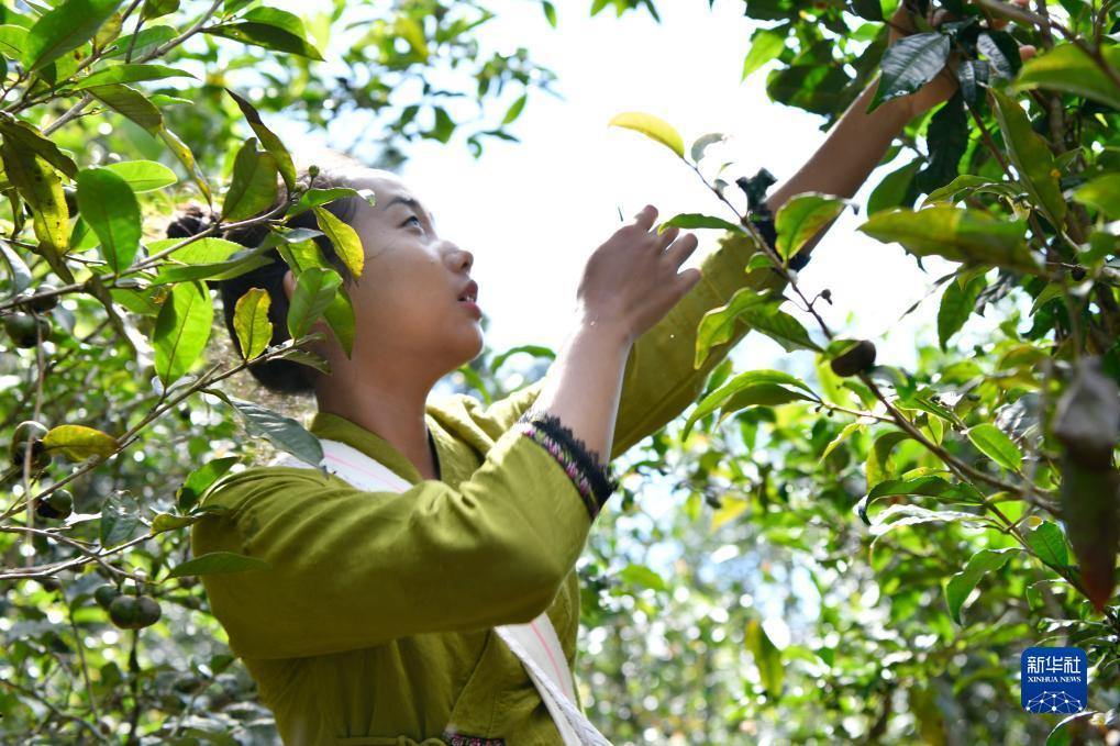捕鱼游戏下载电脑版